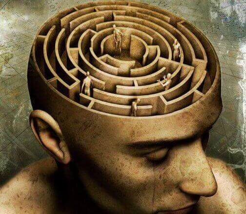 Hjernen som en labyrint 