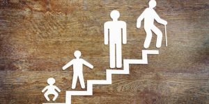 De 6 viktigste teoriene om utvikling