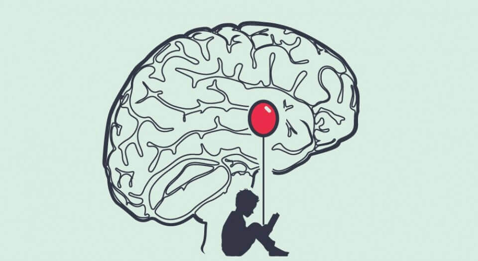 Hjerne
