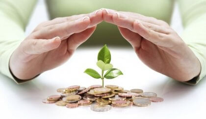 Plante vokser fra penger