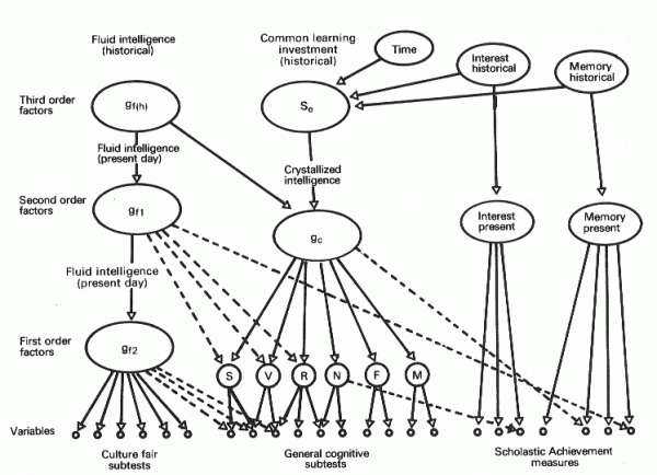 Catells intelligensmodell