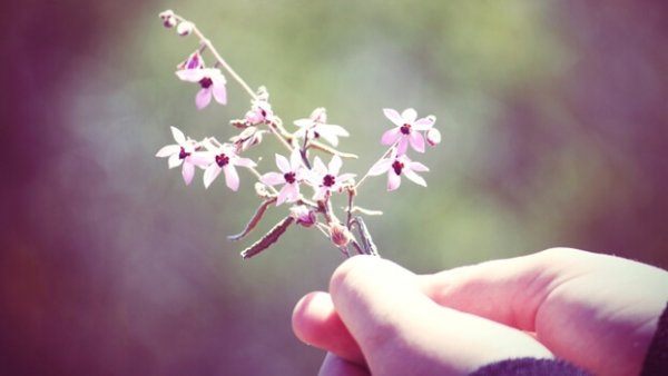 Hånd som holder blomster