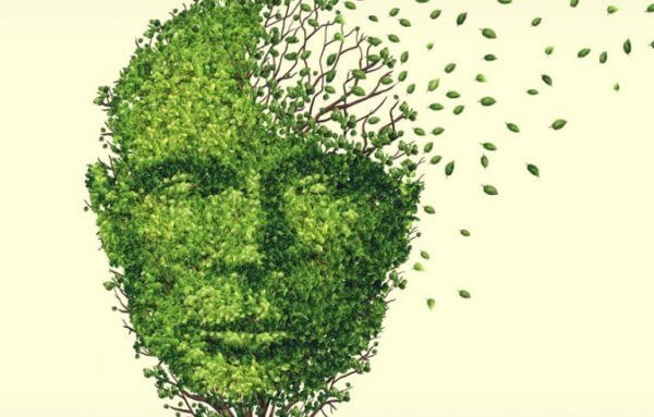 Hukommelsestap fra stress: hvorfor skjer det?