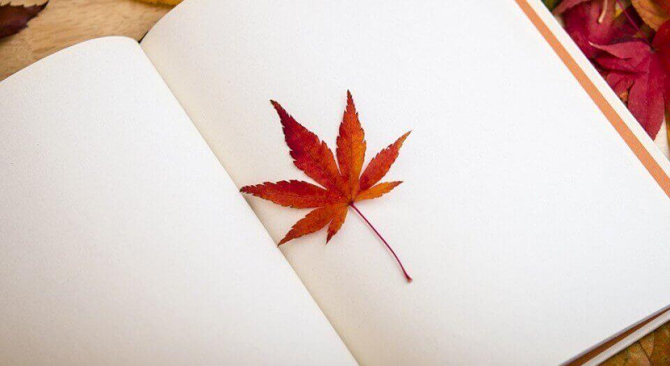 Et blad i en bok