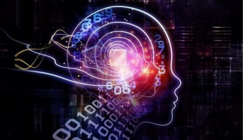 Tegning av hjerne med tall