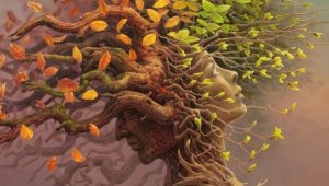 Kognitiv reserve: et avgjørende skritt fremover i hjernens evolusjon