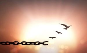 7 fantastiske setninger om tilgivelse
