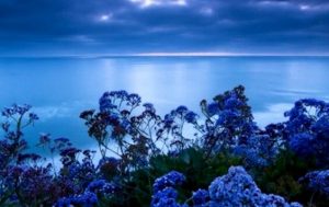 Stresslindrende farge: Blå