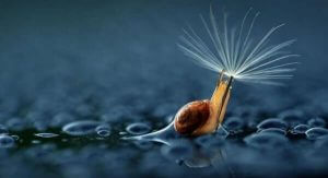 Hva fem minutter med stillhet kan gjøre med hjernen din