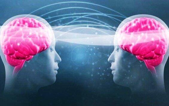Tryptofan og serotonin: Lær hvorfor ditt velvære avhenger av dem