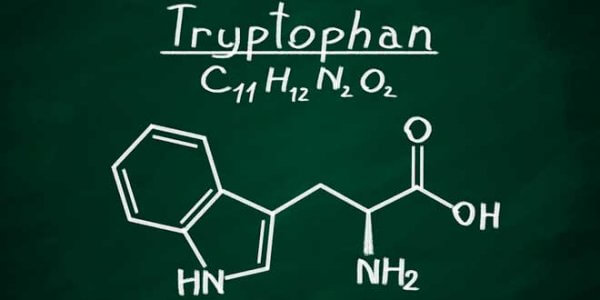 tryptofan-kjemisk-struktur-