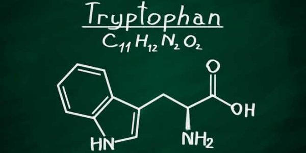 Tryptofan skrevet på tavle.
