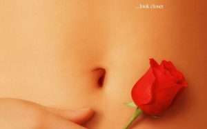 American Beauty – utseende kan bedra