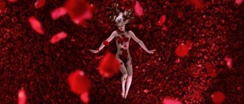 American Beauty