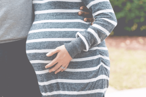 gravid