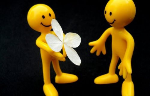 misunnelse blomst