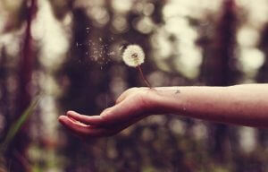 Å helbrede sår etter å ha blitt sviktet