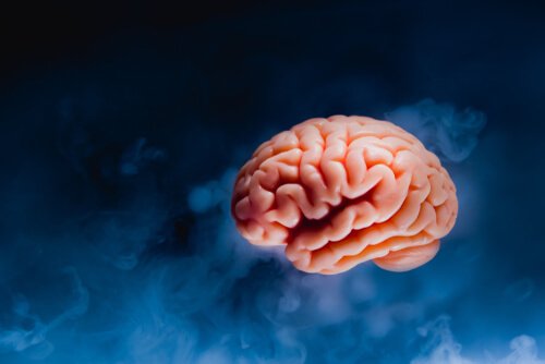 Hjernetsunami: Hva skjer i hjernen din før du dør?