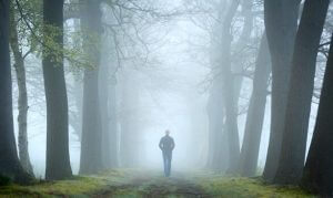 Om skogtesten og dens plass i psykoanalyse