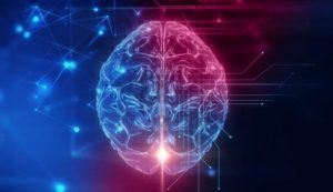 Den orbitofrontale cortexen: Basen av vår sosiale oppførsel