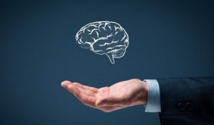 De seks reglene for enkel intelligens