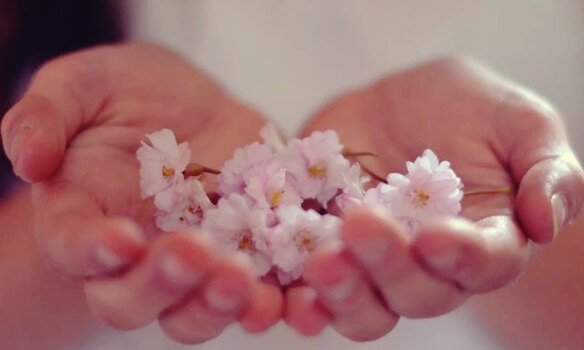 Hender som holder blomster