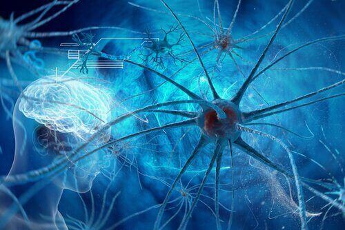 Bildet av en selvlysende hjerne og dens nevroner under et brudd