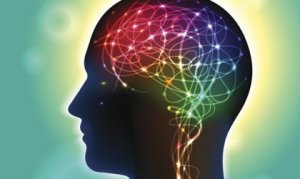 Stoffet anandamid: En nevrotransmitter som påvirker lykke