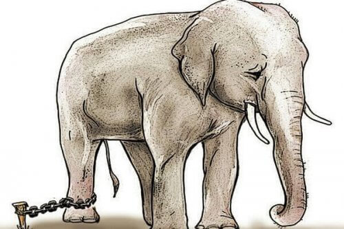 Den lenkede elefanten
