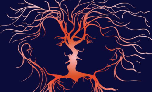 Emosjonell intelligens