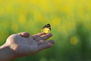 Lær å lukke sykluser på riktig måte