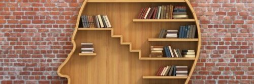 Bokhylle i form av et hode.