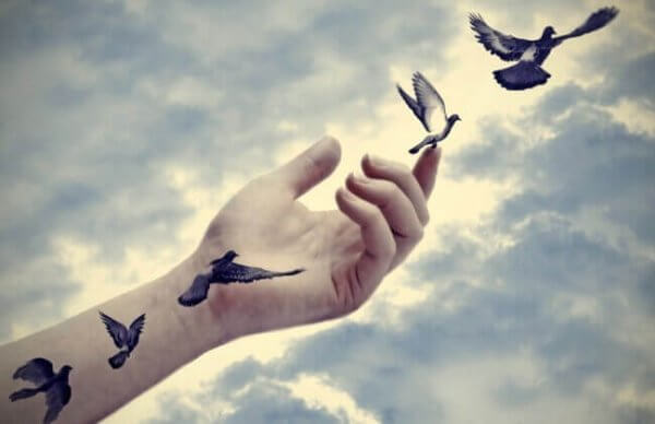 fugler og hånd