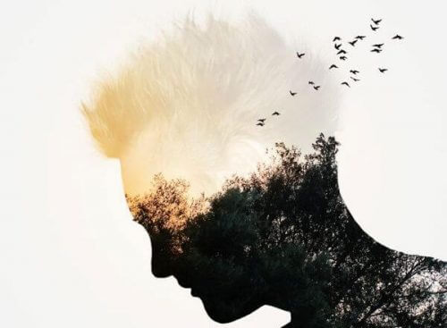 Noen ganger er det vanskelig å vite hvem vi foretrekker av løgn og sannhet.