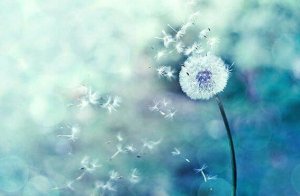 Når tilfeldighetene legges opp, er du på riktig spor