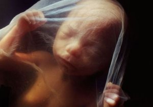 Otto Rank og hans tanker om fødselstraumet