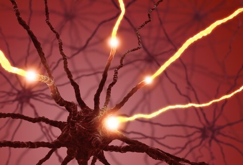 Elektriske impulser i nevroner.