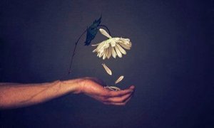 Forakt forårsaker psykisk skade