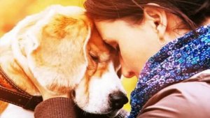 Årsakene til at vi elsker dyrene våre så høyt
