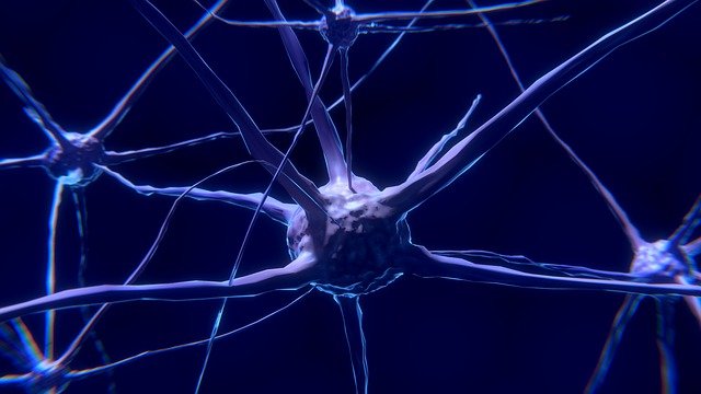 Hva nevroner er og hvordan de fungerer