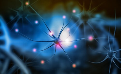 Hva er nevrogenese og hvorfor er det viktig?