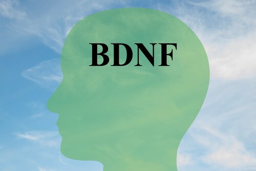 Lær å øke BDNF-nivåene dine, et protein for sunne hjerneceller