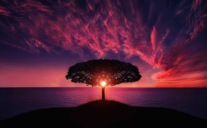 Et tre på en øy ved solnedgang