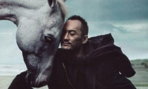 Den rasjonelle rytteren og den følelsesmessige hesten: Å finne balanse