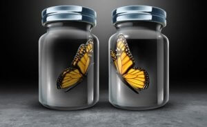 Asymmetrisk resiprositet, et hinder i menneskelige relasjoner