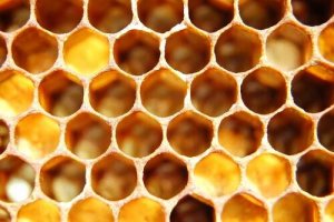 Trypofobi, ekstrem frykt for geometriske mønstre