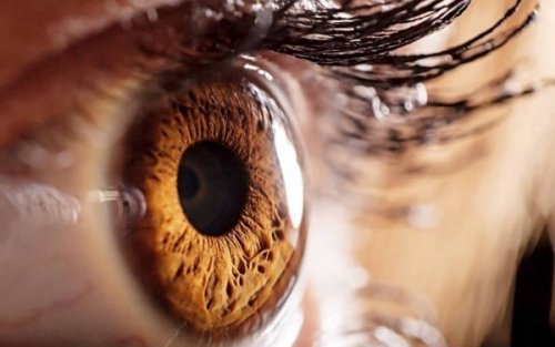 Nærbilde av et brunt øye