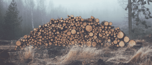 Stablede tømmerstokker er en av mønstrene som skaper kstrem frykt i personer som lider av trypofobi.
