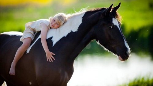Jente klemmer en hest: heste-assistert terapi