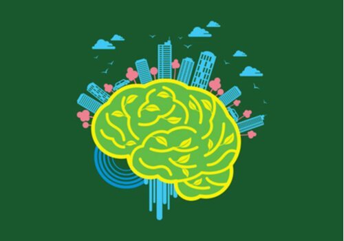 Nevroarkitektur: Miljøets kraft over hjernen